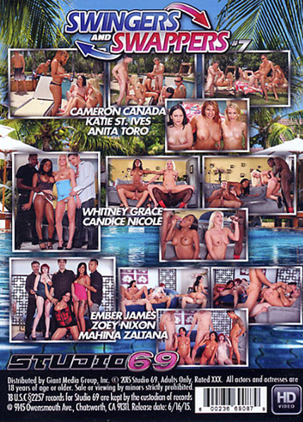 Swingers And Swappers 7   Split Scenes